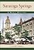 Saratoga Springs, New York by Timothy  Holmes