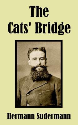 The Cats' Bridge