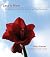 Less Is More: Meditations o...