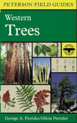 A Field Guide to Western Trees: Western United States and Canada (Paperback)