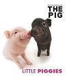 Little Piggies Little Piggies