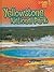Yellowstone National Park (Lightning Bolt Books ® ― Famous Places)