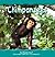 Chimpanzees (Pebble Books)