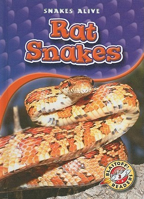 Rat Snakes (Blastoff! Readers: Snakes Alive)