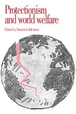 Protectionism and World Welfare (Hardcover)