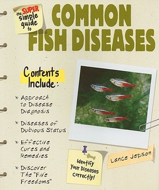 The Super Simple Guide To Common Fish Diseases