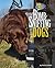 Bomb Sniffing Dogs (Dog Heroes)