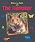 Face-to-face With the Hamster