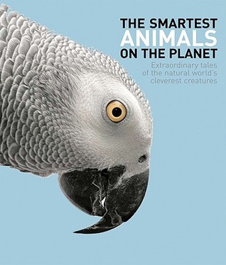 The Smartest Animals on the Planet: Extraordinary Tales of the Natural World's Cleverest Creatures (Hardcover)