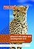 Physical Education and Development 3–11 by Jonathan Doherty