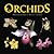 Orchids
