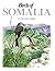 Birds of Somalia