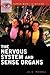 The Nervous System and Sense Organs (Human Body Systems)