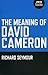 The Meaning of David Cameron