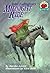 Sybil Ludington's Midnight Ride by Marsha Amstel