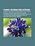 China-Russia Relations: Shanghai Cooperation Organisation, Ethnic Chinese in Russia, History of Sino-Russian Relations, Russians in China