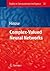 Studies in Computational Intelligence, Volume 32: Complex-Valued Neural Networks