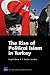 The Rise of Political Islam in Turkey