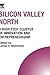 Silicon Valley North: A High-Tech Cluster of Innovation and Entrepreneurship (Technology, Innovation, Entrepreneurship and Competitive Strategy)