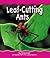 Leaf-Cutting Ants (Pebble Books)