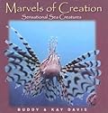 Sensational Sea Creatures