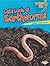 Let's Look at Earthworms (Lightning Bolt Books ® ― Animal Close-Ups)