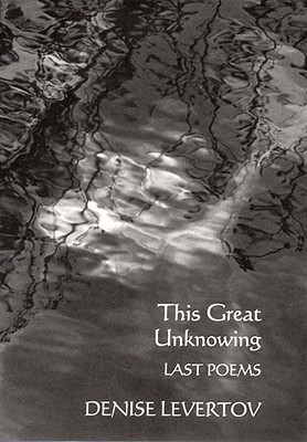 This Great Unknowing (Paperback)