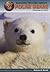 Top 50 Reasons to Care about Polar Bears: Animals in Peril (Top 50 Reasons to Care About Endangered Animals)
