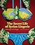 Secret Life of Syrian Lingerie by Malu Halasa