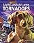Saving Animals After Tornadoes