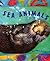 Sea Animals