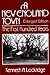 A New England Town: The Fir...