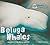Beluga Whales: Animals of the Snow and Ice