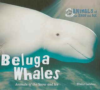 Beluga Whales: Animals of the Snow and Ice (Library Binding)