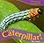Its a Caterpillar! (Everyday Wonders)