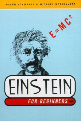 Einstein for Beginners (Paperback)