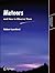 Meteors and How to Observe Them