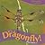 Its a Dragonfly! (Everyday Wonders)