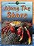 Along the Shore (Oceans Alive!)