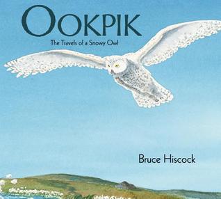 Ookpik: The Travels of a Snowy Owl (Hardcover)
