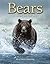 Bears by Matthias Breiter