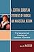 A Central European Synthesis of Radical and Magisterial Reform by Kirk R. MacGregor