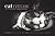 Cattitude: A Feline Guide t...