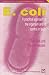 E. Coli: A Practical Approach to the Organism and Its Control in Food