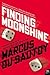 Finding Moonshine: A Mathematician's Journey Through Symmetry