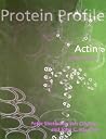 Protein Profile: Actin Protein Profile: Actin