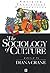 The Sociology of Culture: Emerging Theoretical Perspectives