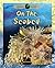 On the Seabed (Oceans Alive!)