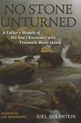 No Stone Unturned: A Father's Memoir of His Son's Encounter with Traumatic Brain Injury