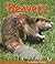 Beavers (Early Bird Nature Books)